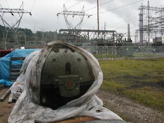 Tri Clad Induction Motor